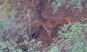 Hirsch_X181__1800.jpg