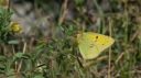 Postillion_01_1800.jpg